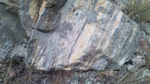 Гигантские зелёные валуны для ландшафтного дизайна весом более 5 тонн купить в Куйбышеве